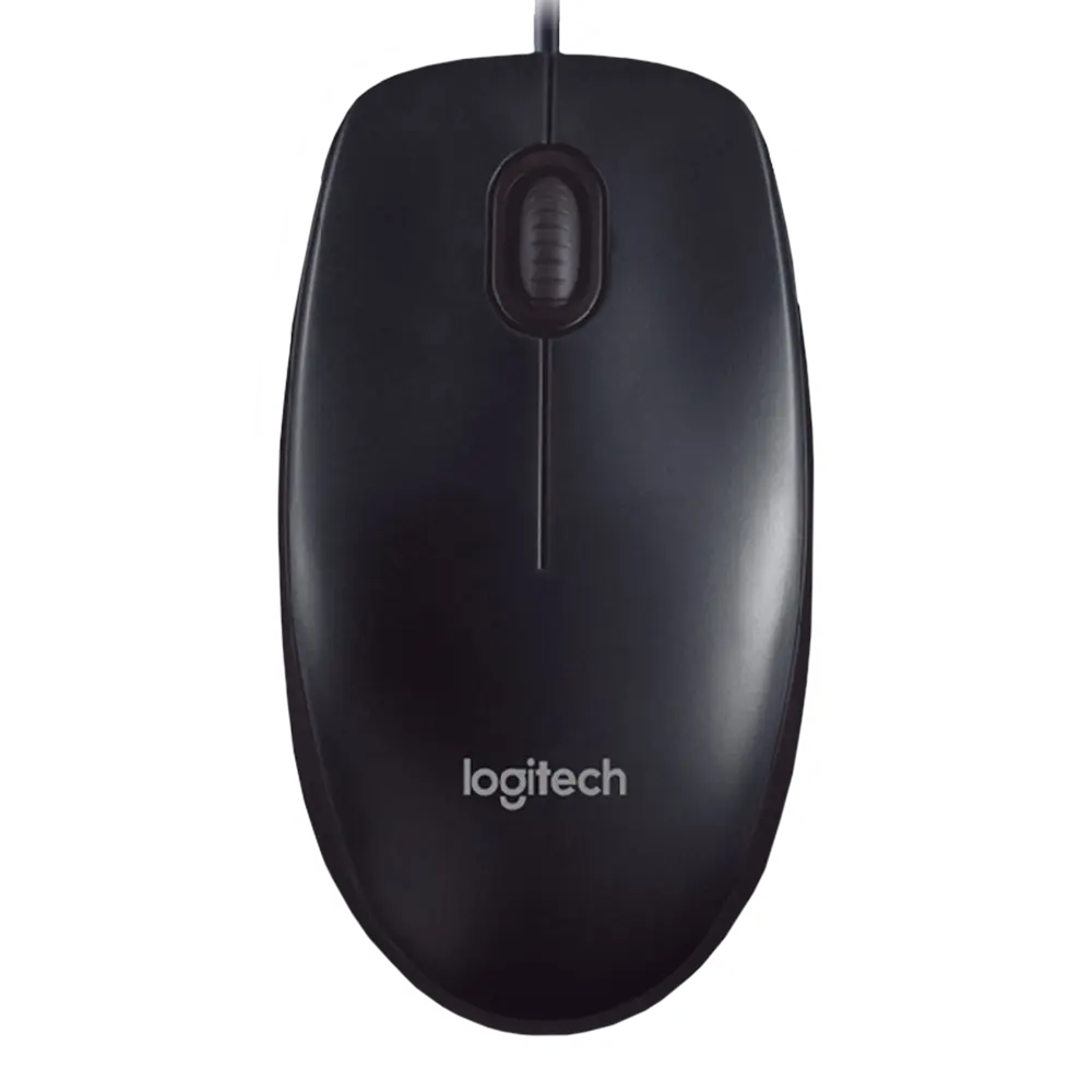 Logitech B100 mouse